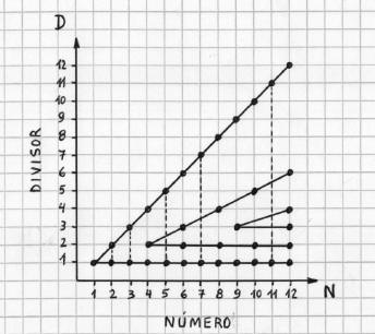 Números Primos - El diagrama número divisor